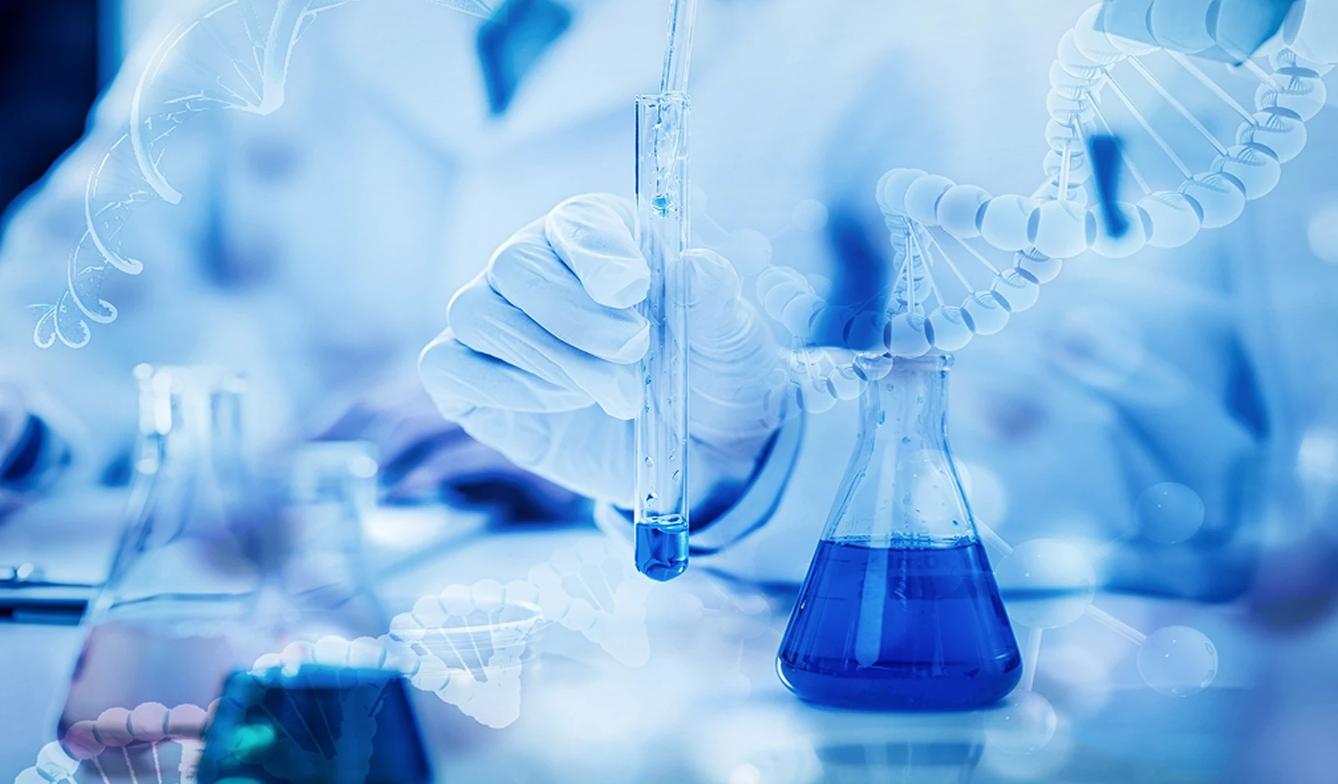 合成化学与功能分子